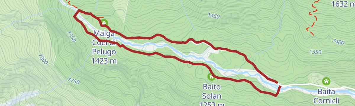 Val di Borzago tour along the path "Tutto il bosco in un sentiero" trail